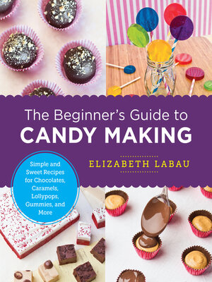 The Beginner's Guide to Candy Making - ebook